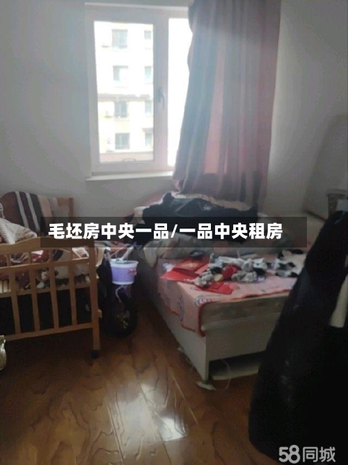 毛坯房中央一品/一品中央租房-第2张图片