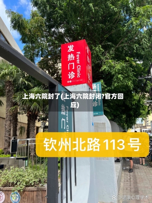 上海六院封了(上海六院封闭?官方回应)-第3张图片