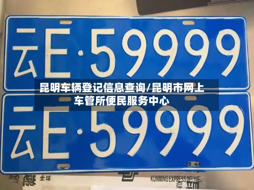 昆明车辆登记信息查询/昆明市网上车管所便民服务中心