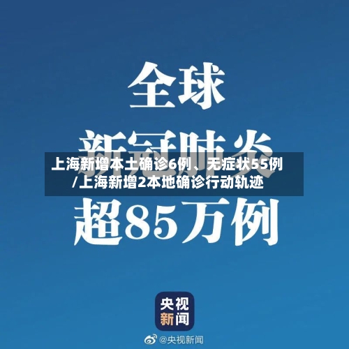 上海新增本土确诊6例、无症状55例/上海新增2本地确诊行动轨迹-第3张图片