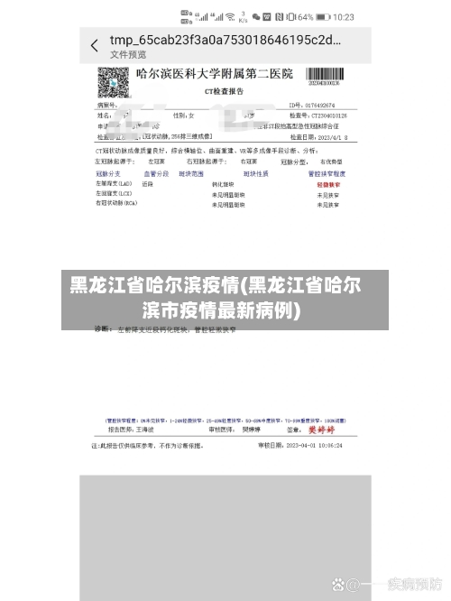 黑龙江省哈尔滨疫情(黑龙江省哈尔滨市疫情最新病例)-第3张图片