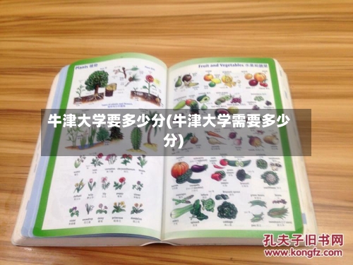 牛津大学要多少分(牛津大学需要多少分)