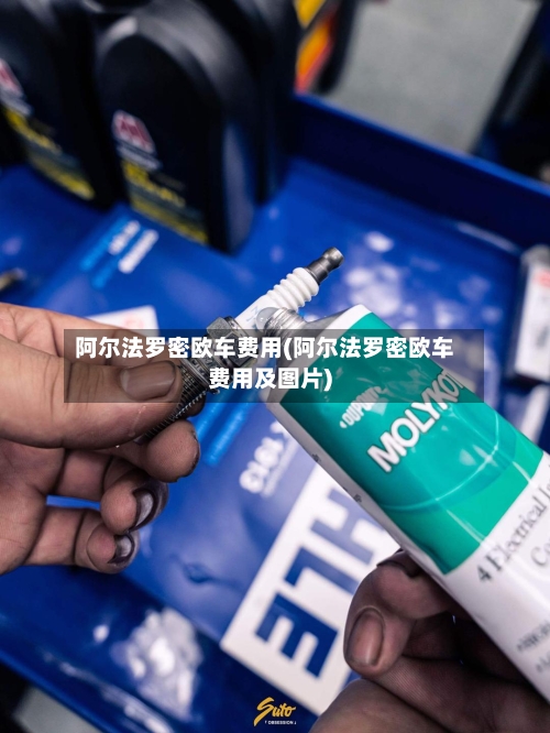 阿尔法罗密欧车费用(阿尔法罗密欧车费用及图片)