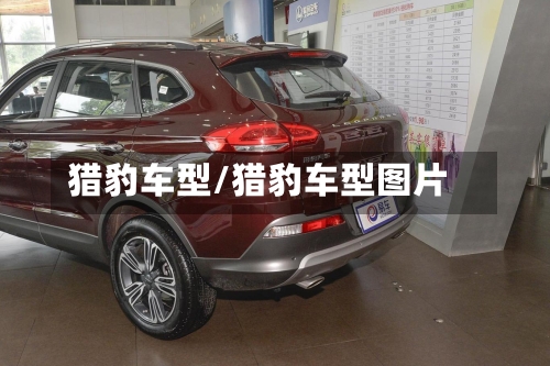 猎豹车型/猎豹车型图片