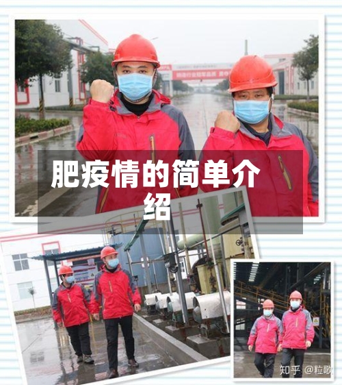肥疫情的简单介绍