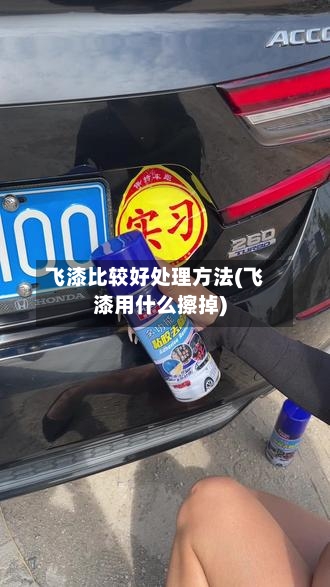 飞漆比较好处理方法(飞漆用什么擦掉)