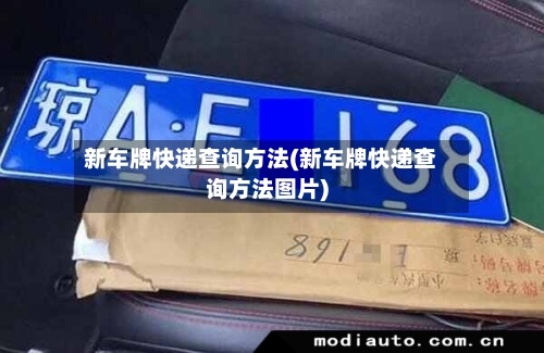 新车牌快递查询方法(新车牌快递查询方法图片)-第2张图片