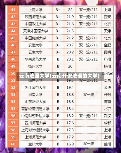 云南法国大学(云南开设法语的大学)