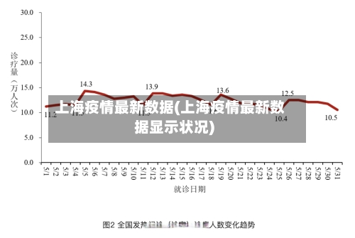 上海疫情最新数据(上海疫情最新数据显示状况)-第2张图片