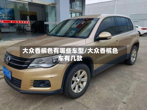 大众香槟色有哪些车型/大众香槟色车有几款-第2张图片