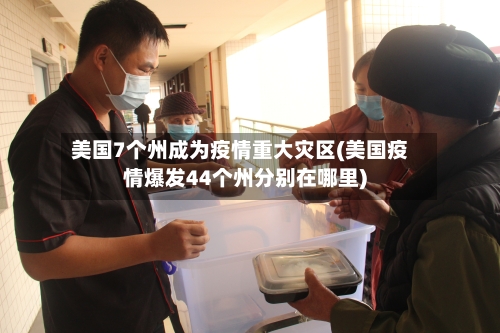 美国7个州成为疫情重大灾区(美国疫情爆发44个州分别在哪里)