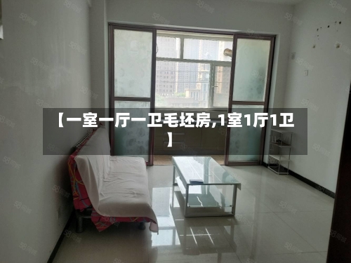 【一室一厅一卫毛坯房,1室1厅1卫】