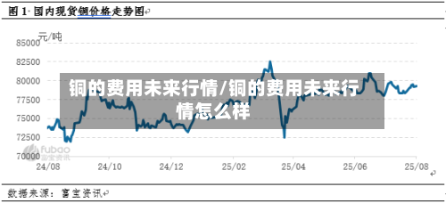 铜的费用未来行情/铜的费用未来行情怎么样-第2张图片