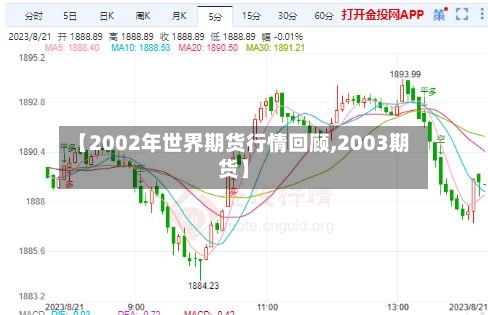 【2002年世界期货行情回顾,2003期货】
