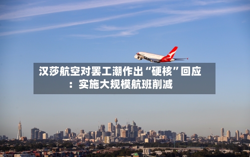 汉莎航空对罢工潮作出“硬核	”回应：实施大规模航班削减-第3张图片