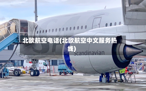 北欧航空电话(北欧航空中文服务热线)-第2张图片