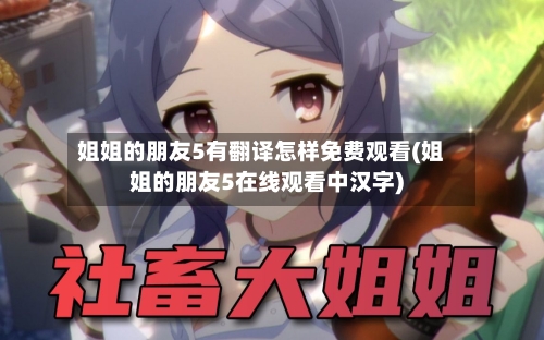 姐姐的朋友5有翻译怎样免费观看(姐姐的朋友5在线观看中汉字)