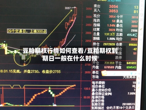 豆粕期权行情如何查看/豆粕期权到期日一般在什么时候-第2张图片