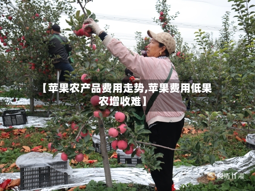 【苹果农产品费用走势,苹果费用低果农增收难】