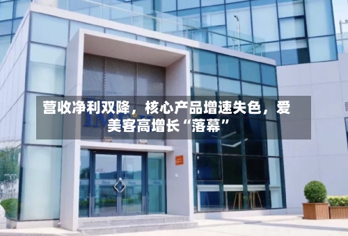 营收净利双降	，核心产品增速失色，爱美客高增长“落幕”-第2张图片