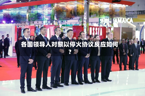 各国领导人对黎以停火协议反应如何？