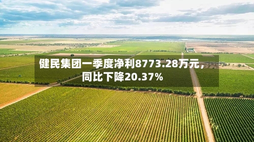 健民集团一季度净利8773.28万元	，同比下降20.37%-第3张图片
