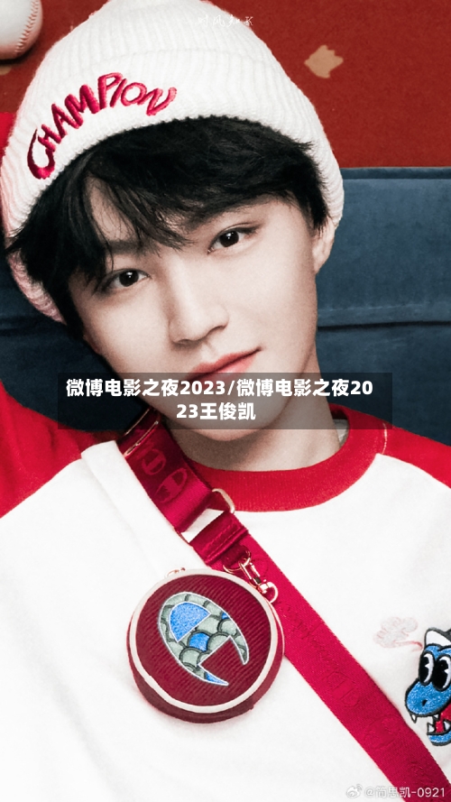 微博电影之夜2023/微博电影之夜2023王俊凯-第2张图片