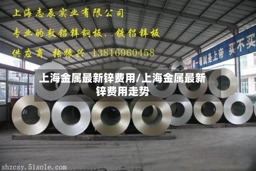 上海金属最新锌费用/上海金属最新锌费用走势