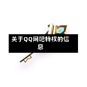 关于QQ网吧特权的信息