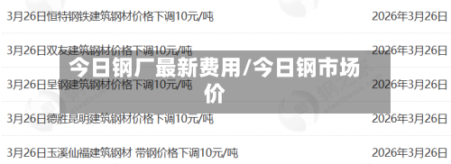 今日钢厂最新费用/今日钢市场价