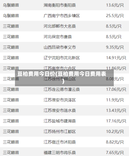 豆柏费用今日价(豆柏费用今日费用表)