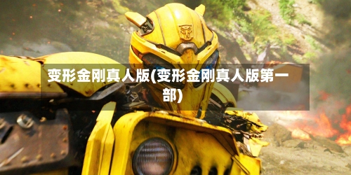 变形金刚真人版(变形金刚真人版第一部)-第2张图片