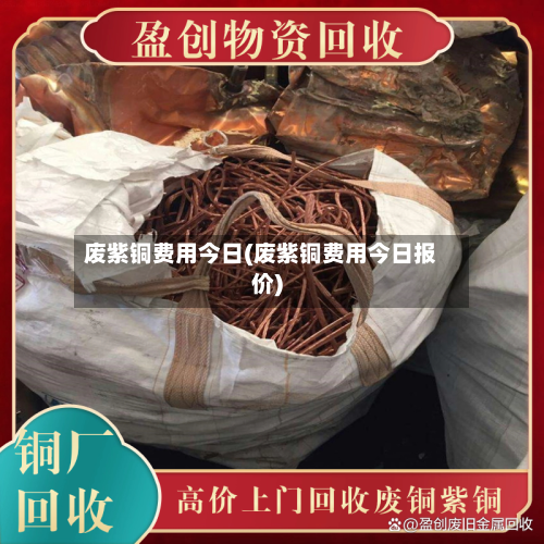 废紫铜费用今日(废紫铜费用今日报价)-第2张图片