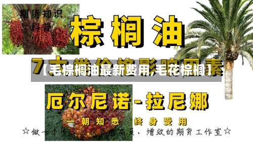 【毛棕榈油最新费用,毛花棕榈】-第2张图片