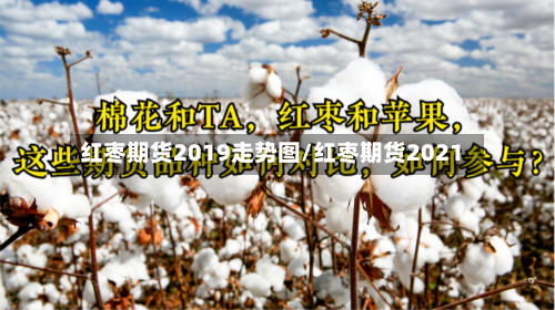 红枣期货2019走势图/红枣期货2021