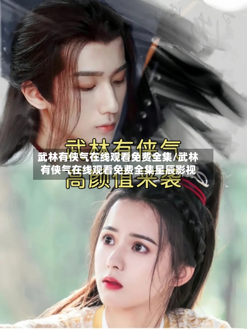 武林有侠气在线观看免费全集/武林有侠气在线观看免费全集星辰影视