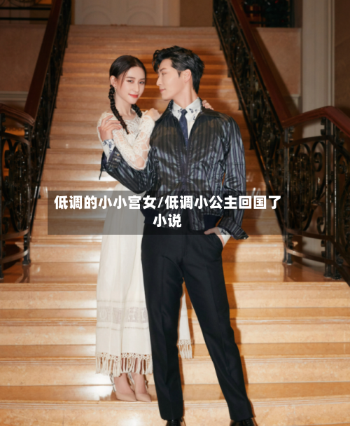 低调的小小宫女/低调小公主回国了小说