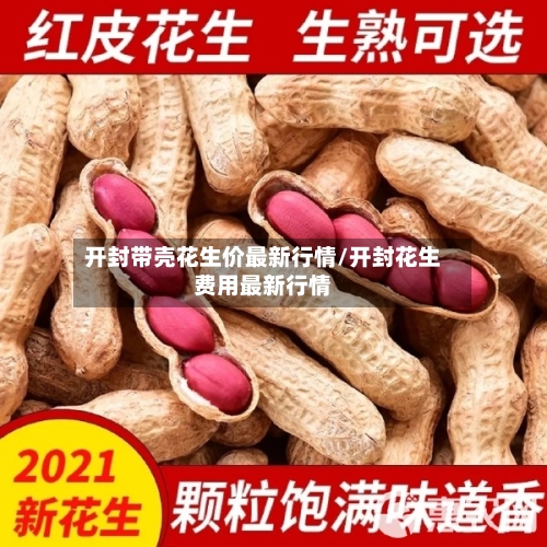 开封带壳花生价最新行情/开封花生费用最新行情