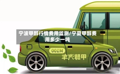 宁波甲醇行情费用监测/宁夏甲醇费用多少一吨-第2张图片