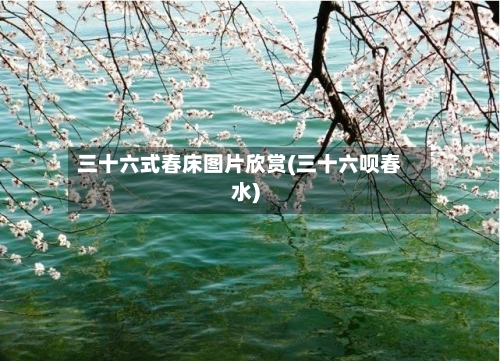 三十六式春床图片欣赏(三十六呗春水)-第3张图片