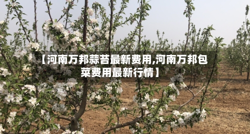 【河南万邦蒜苔最新费用,河南万邦包菜费用最新行情】-第2张图片