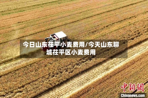 今日山东茌平小麦费用/今天山东聊城茌平区小麦费用