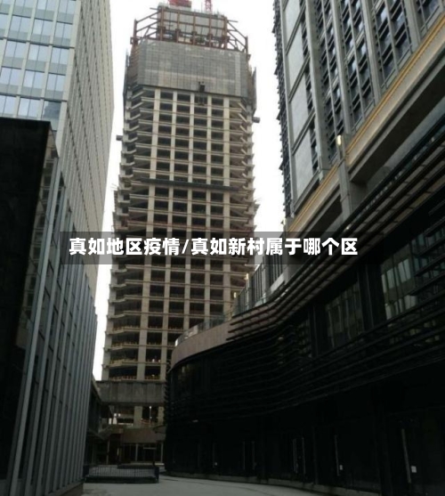 真如地区疫情/真如新村属于哪个区-第2张图片