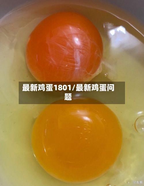 最新鸡蛋1801/最新鸡蛋问题-第2张图片