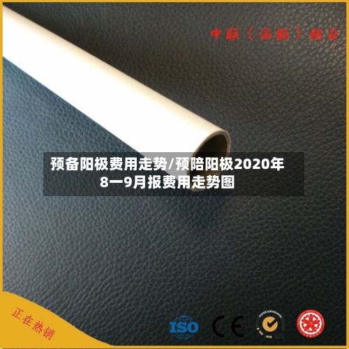 预备阳极费用走势/预陪阳极2020年8一9月报费用走势图