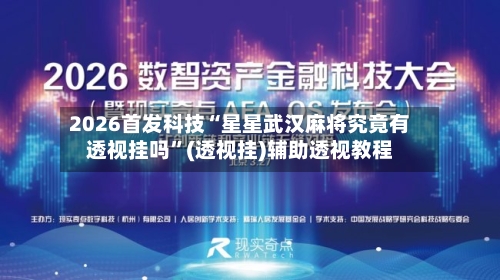 2026首发科技“星星武汉麻将究竟有透视挂吗”(透视挂)辅助透视教程-第3张图片