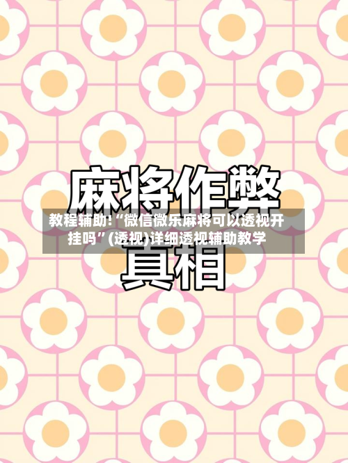 教程辅助!“微信微乐麻将可以透视开挂吗	”(透视)详细透视辅助教学-第2张图片