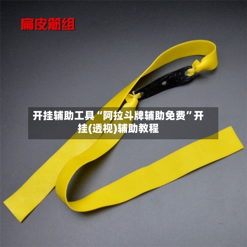 开挂辅助工具“阿拉斗牌辅助免费”开挂(透视)辅助教程-第2张图片