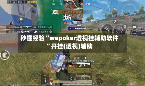 秒懂经验“wepoker透视挂辅助软件”开挂(透视)辅助-第2张图片