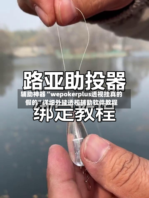 辅助神器“wepokerplus透视挂真的假的	”详细外挂透视辅助软件教程-第2张图片